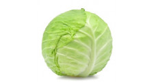 Cabbage Regular (Badha Kopi)